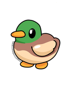 Duck