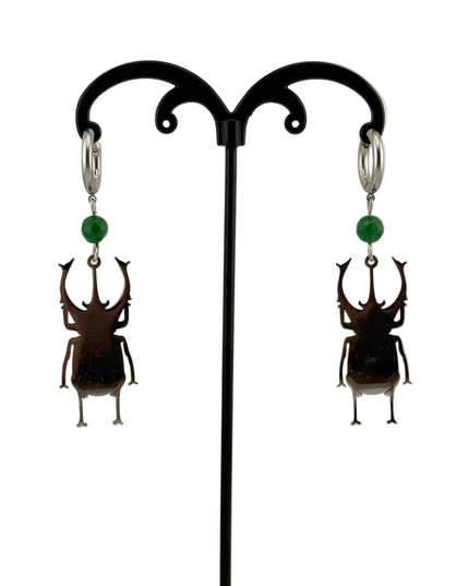 Insecta