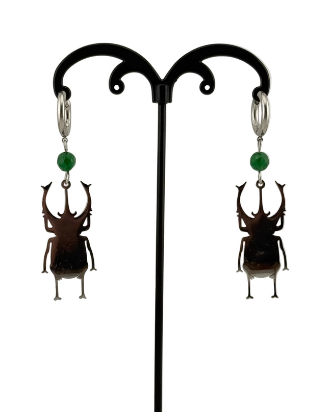 Insecta