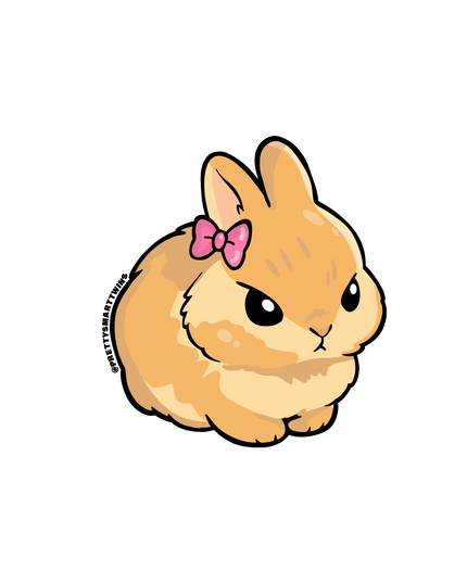 Rabbit - Prettysmarttwins