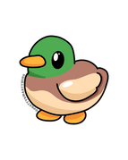 Duck